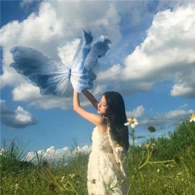 小树的天空